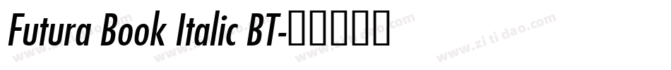 Futura Book Italic BT字体转换